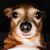 Linda Bennett Brown's profile image
