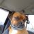 Robert Williams's profile image