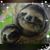 Sharon Etters's profile image