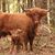 Marc Jackson's profile image