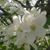 Mary Waller's profile image