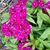 Penelope M. Luethy's profile image