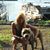 Diana Shaffer's profile image