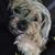 Tish Marie's profile image