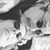 Melody Shuman Alvarez's profile image
