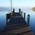 Sandy Gossage's profile image