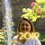 Carrie Plemons's profile image