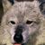 Barry Shelton's profile image