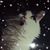 Lori Seibert Walton's profile image