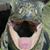 Terri Puleo's profile image