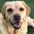 Michele Williams Lubben's profile image
