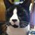 Nancy Giakoumis's profile image