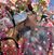 Sally Steimel-Scotten's profile image