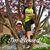 Kelli Greenwell Boone's profile image