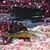 Mike Peters's profile image
