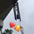 Anne Finch Brown's profile image
