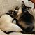 Angelita T. Bee's profile image