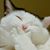 Gabriel Bahe's profile image