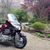 Gene Brandow's profile image
