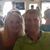 Jeff N Morgan Duff's profile image