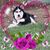 Yesica Rodriguez's profile image