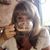 Lauri Burch Dempsey's profile image