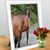 Sharon Lambert Coombe's profile image