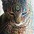 Susan Mawer's profile image
