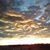 Tricia Gorneau's profile image