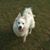 Marilyn Stamey Shortridge's profile image