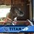 Janice Newcome's profile image