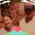 Frieda Scoles's profile image