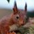 Sherri Johnson's profile image