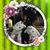 Jason Lee's profile image