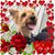 Debbi Parfitt's profile image