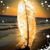 Tammie Kruse's profile image