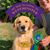 Mark Claster's profile image