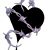 Charlotte Kuykendall's profile image