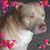 Daisey May's profile image