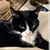 Carol Ann's profile image