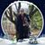 Kathy Jean Knutson's profile image