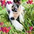 Lisa Nisbett's profile image