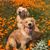 Jan Heppert's profile image