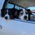 Brenda Wilson's profile image