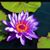 James M Dann's profile image
