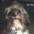 Charla Murray's profile image