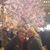 Janet Barletta Vollmer's profile image