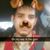Brandon Salce's profile image