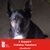 Amanda Theobald Parsons's profile image