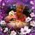 Karen Evans Thompson's profile image